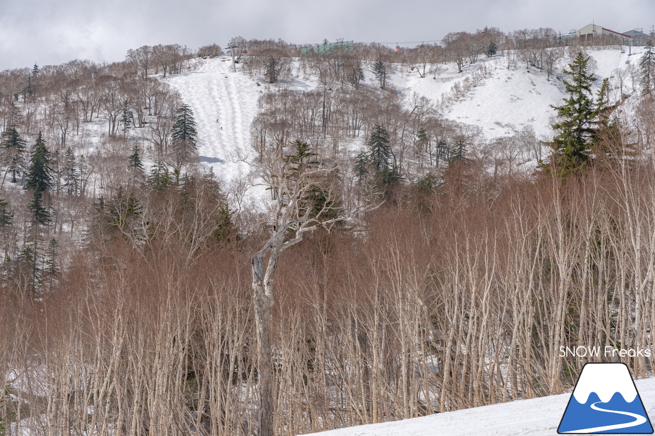 札幌国際スキー場｜THE LAST DAY!!ありがとう、2021-2022ウィンターシーズン。営業最終日は、晴天が一転、まさかの『名残の雪』が…。